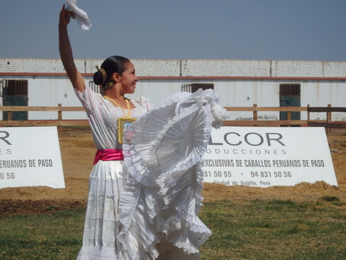 Peruvian Step Horse Show.